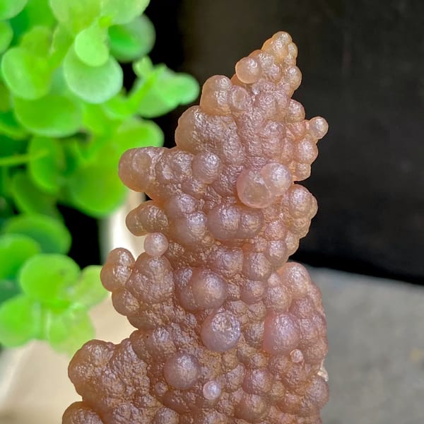 Thin plate of caramel-brown grape agate from Indonesia, reverse side