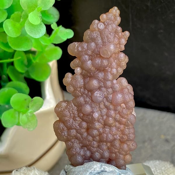 Thin plate of caramel-brown grape agate from Indonesia, top view