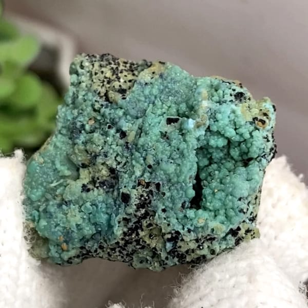 Pale blue-green gibbsite crust on dark matrix from Yunnan, China, held in gloved hand