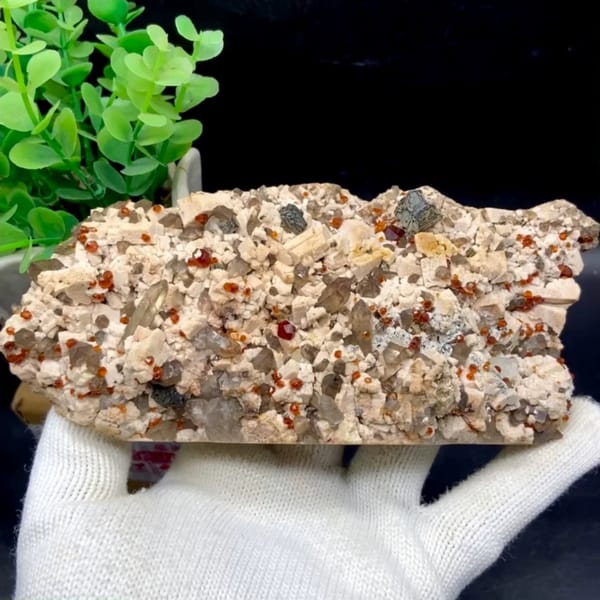 Bar of feldspar dotted with Fanta-orange spessartine and smoky quartz from Yunxiao, Fujian, China, held in gloved hand