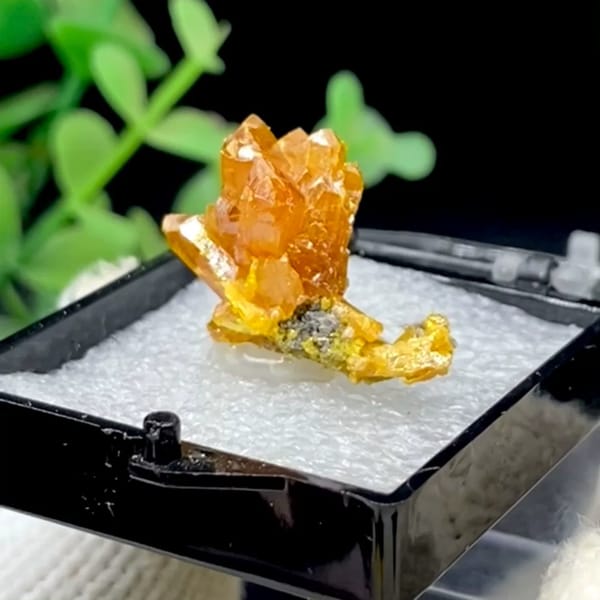 Golden yellow quartz crystal cluster from Hunan, China, natural mineral specimen, photo 1 of 9