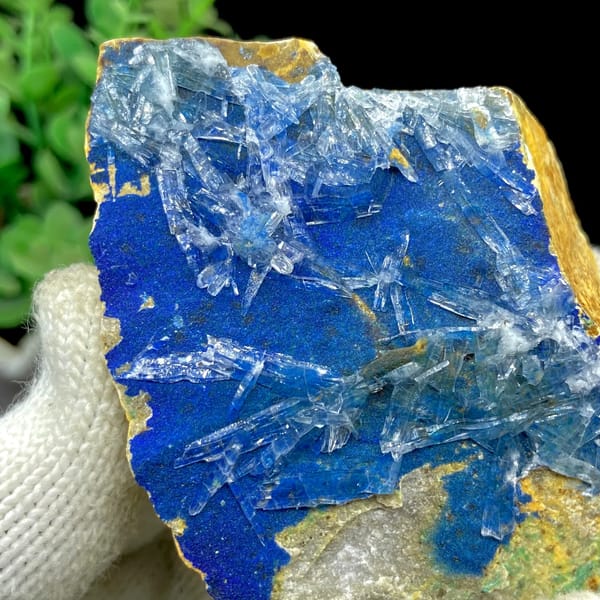 Natural azurite crystals, collector mineral specimen, photo 7 of 9