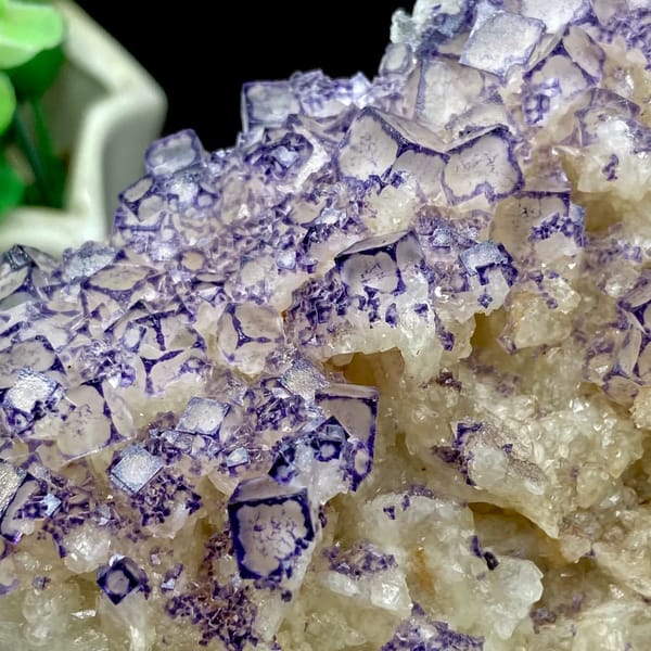 Guizhou fluorite plate with pale cubes outlined in deep purple — complete view