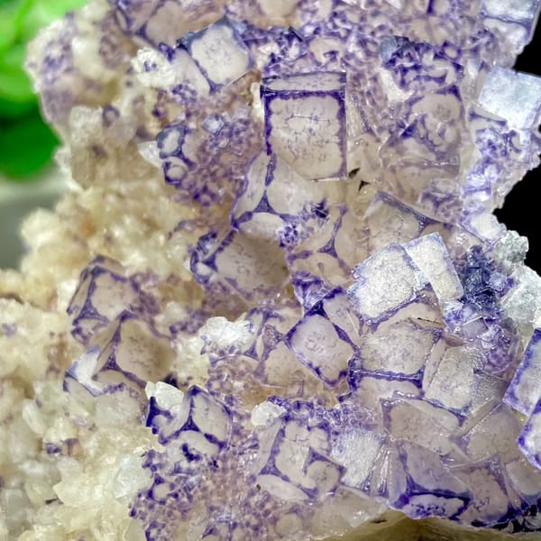 Guizhou fluorite plate with pale cubes outlined in deep purple — alternate view