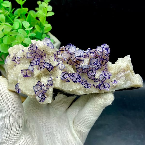 Guizhou fluorite cubes outlined in purple on white matrix — complete view