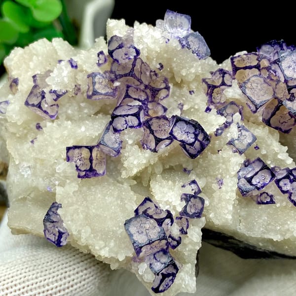 Guizhou fluorite cubes outlined in purple on white matrix — alternate view