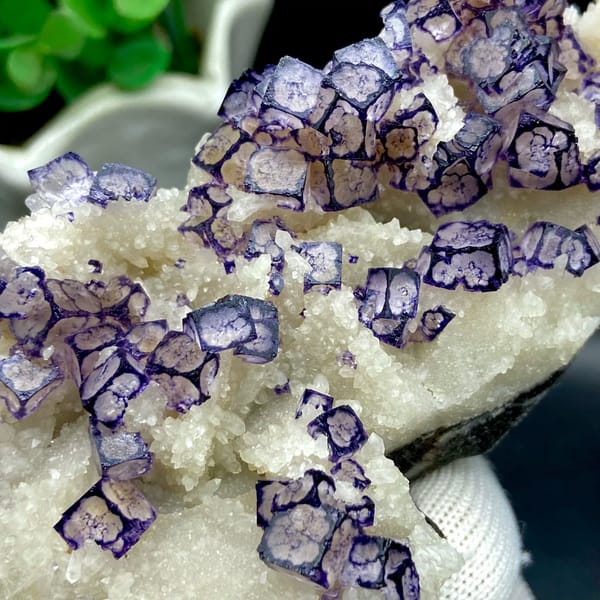 Guizhou fluorite cubes outlined in purple on white matrix — alternate view