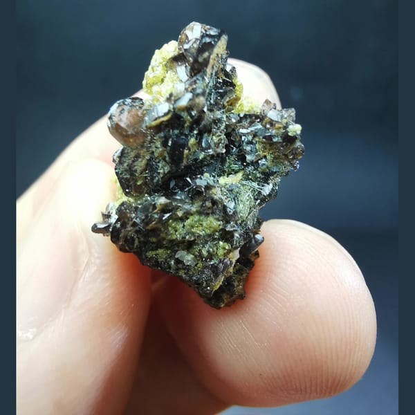 Axinite crystals with garnet and actinolite from Shijiangshan, Inner Mongolia, China, natural mineral specimen, photo 1 of 5