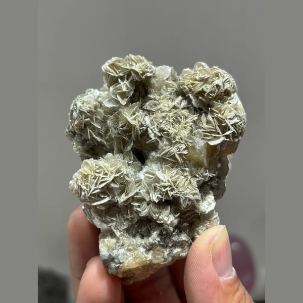Golden-orange scheelite crystal on silvery mica from Xuebaoding, Sichuan — detail view