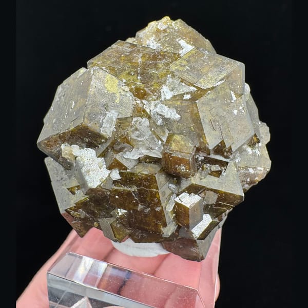 Golden-Brown Garnet Cluster Inner Mongolia 4.5 cm — complete view