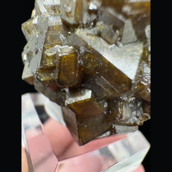 Golden-Brown Garnet Cluster Inner Mongolia 4.5 cm — detail view