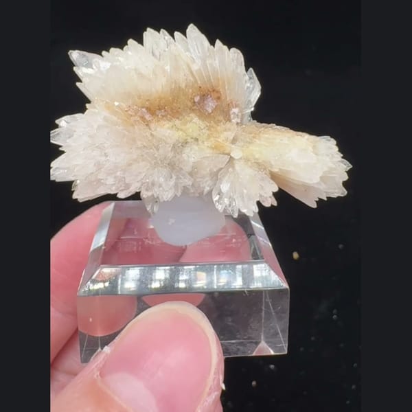 White Creedite Cluster 4.5 cm — alternate view