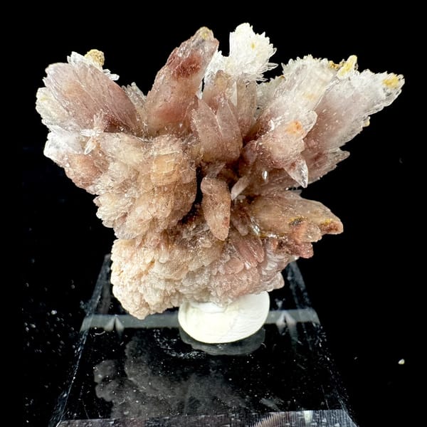 Pink Creedite Flower Guizhou 4.9 cm — complete view