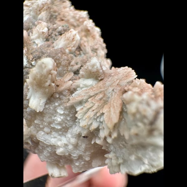 Pink Quartz Cluster Inner Mongolia 4.5 cm — detail view