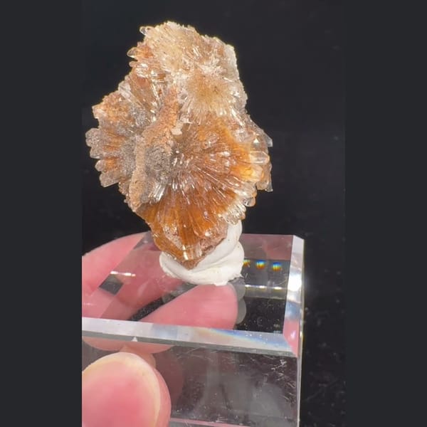 Beige Creedite Flower 4.5 cm — complete view