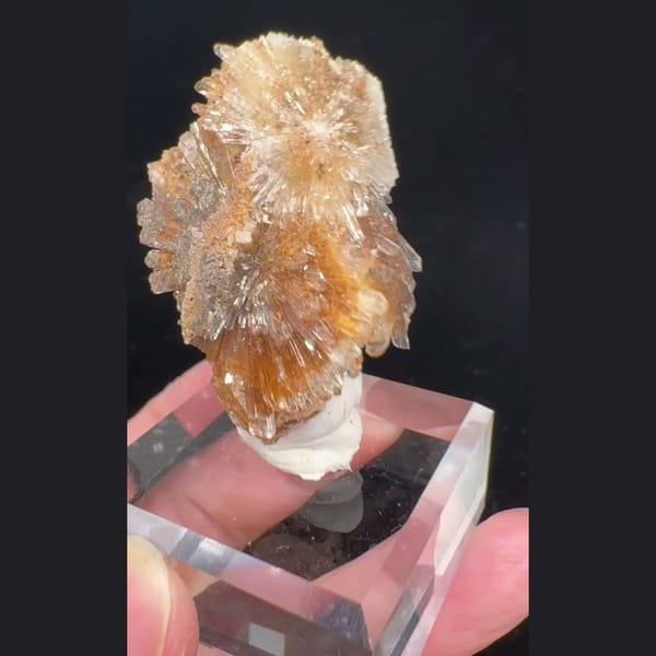 Beige Creedite Flower 4.5 cm — alternate view