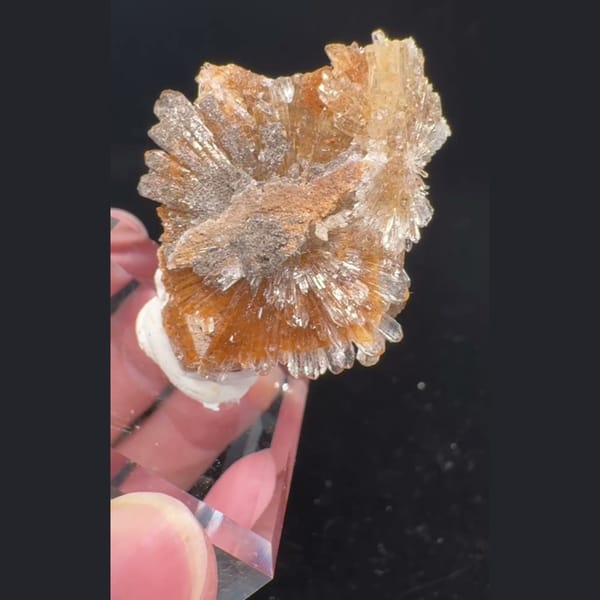 Beige Creedite Flower 4.5 cm — alternate view