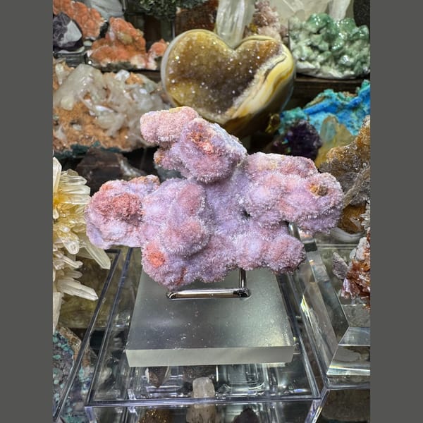 Purple Creedite Flower 7.5 cm — complete view