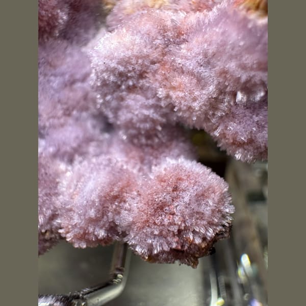 Purple Creedite Flower 7.5 cm — alternate view