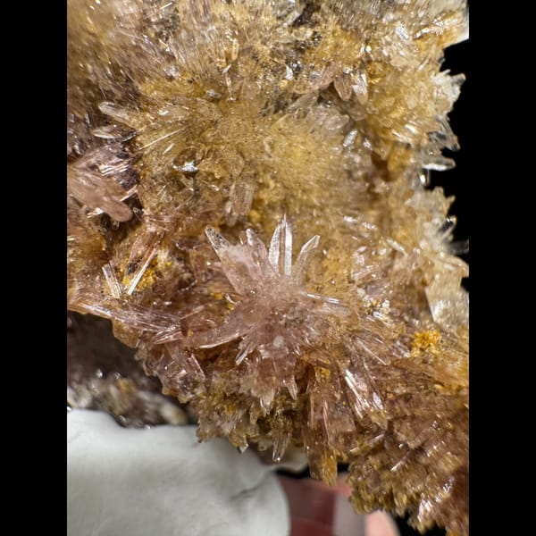 Yellow Creedite Cluster 5.0 cm — detail view