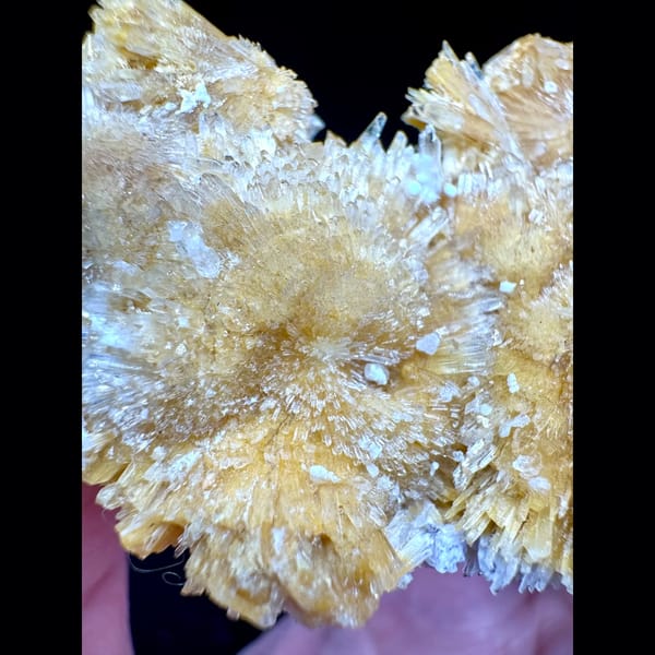 Lustrous Yellow Creedite Cluster 7.0 cm — detail view