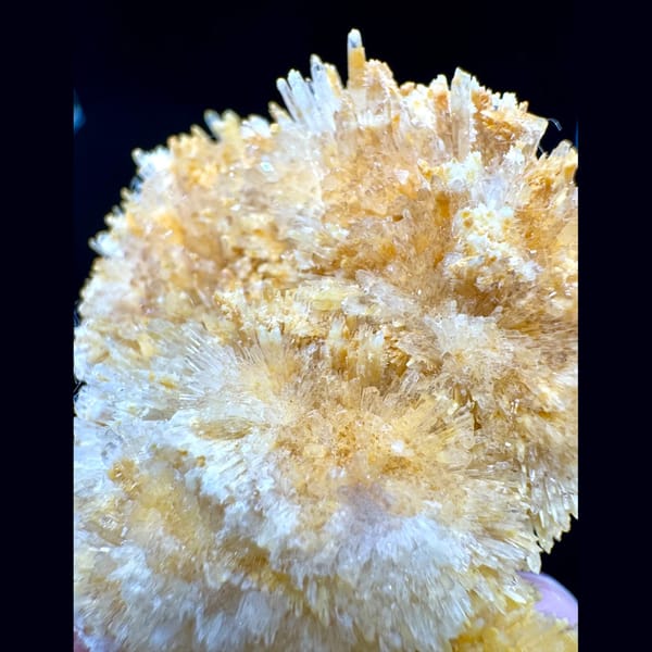 Lustrous Yellow Creedite Cluster 7.0 cm — detail view