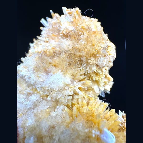 Lustrous Yellow Creedite Cluster 7.0 cm — detail view