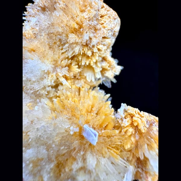 Lustrous Yellow Creedite Cluster 7.0 cm — detail view