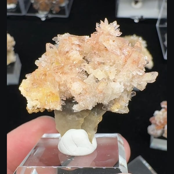Pink-Yellow Creedite Flower Qinglong 4.0 cm — complete view