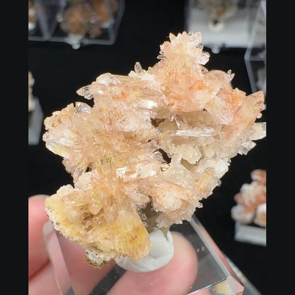 Pink-Yellow Creedite Flower Qinglong 4.0 cm — alternate view