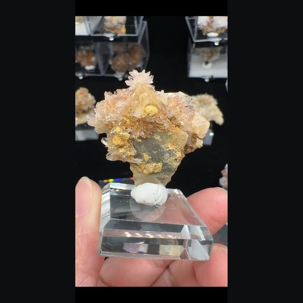 Pink-Yellow Creedite Flower Qinglong 4.0 cm — alternate view