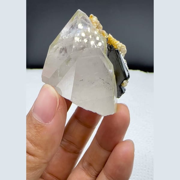 Phantom Quartz with Wolframite Yaogangxian 4.6 cm — complete view
