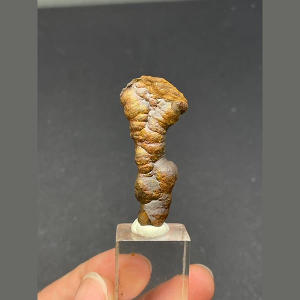 Knobbly brown stalactitic limonite from Guizhou — complete view