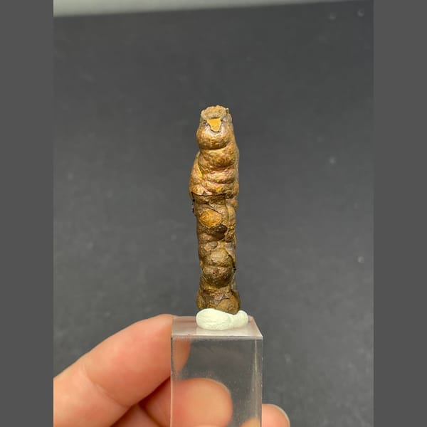 Knobbly brown stalactitic limonite from Guizhou — alternate view