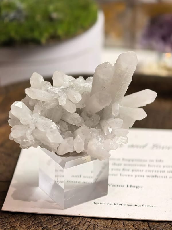 Frosted White Quartz Bowl Cluster — Inner Mongolia — individual mineral specimen view 2