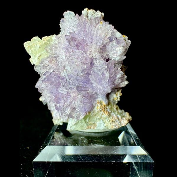 Purple and White Creedite Flower 3.5 cm — complete view