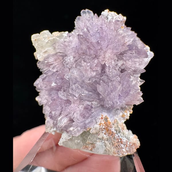 Purple and White Creedite Flower 3.5 cm — alternate view