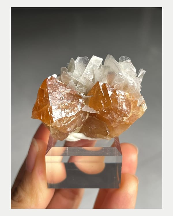 Complete oblique view showing pale scheelite crystals and mica
