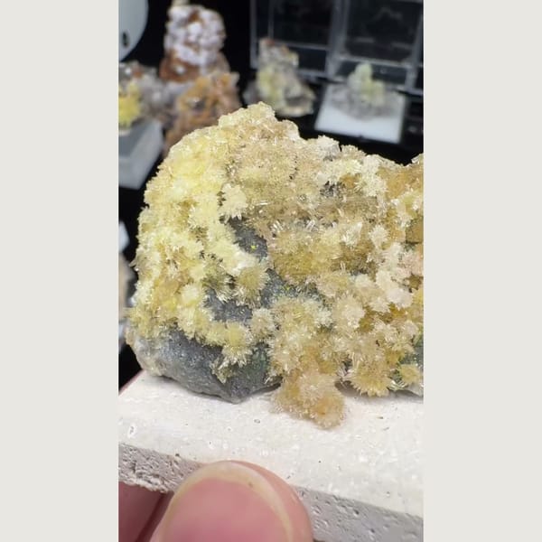 Yellow Creedite Flower Cluster 4.5 cm — complete view