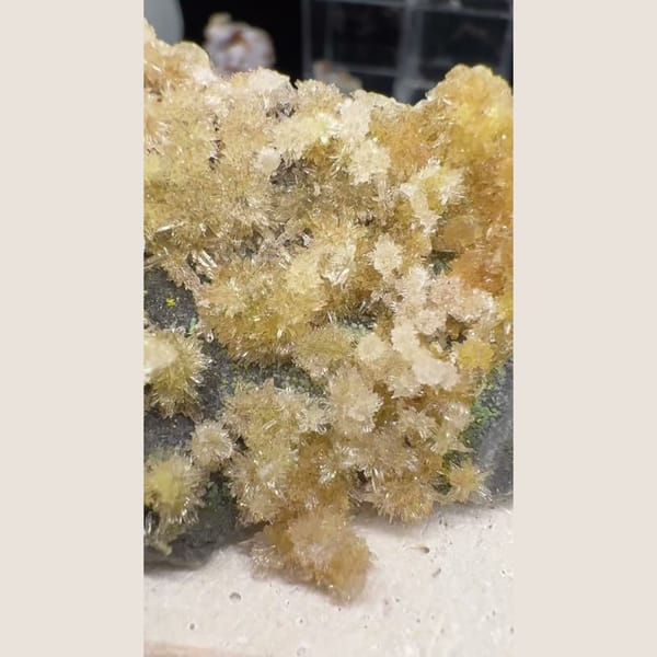Yellow Creedite Flower Cluster 4.5 cm — alternate view