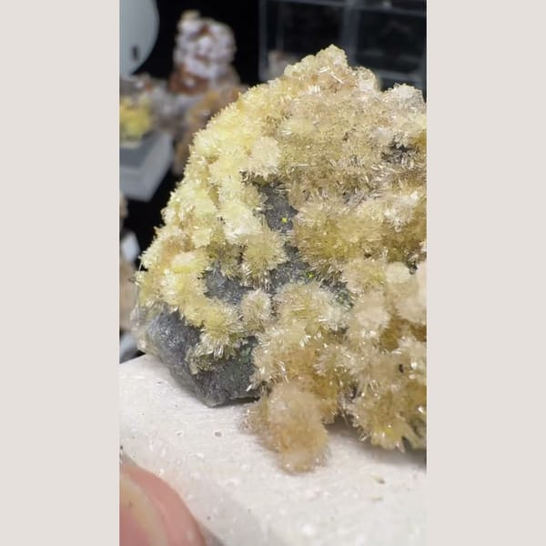 Yellow Creedite Flower Cluster 4.5 cm — detail view