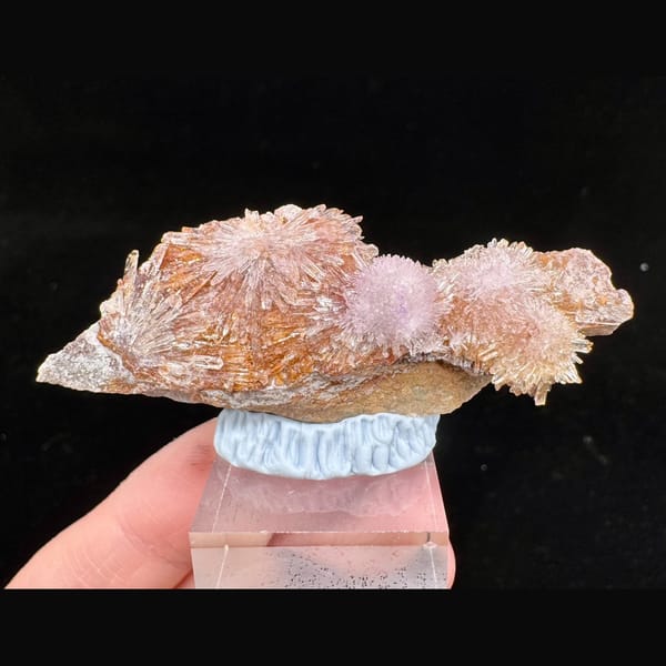 Pink-Purple Creedite Flower 5.0 cm — complete view