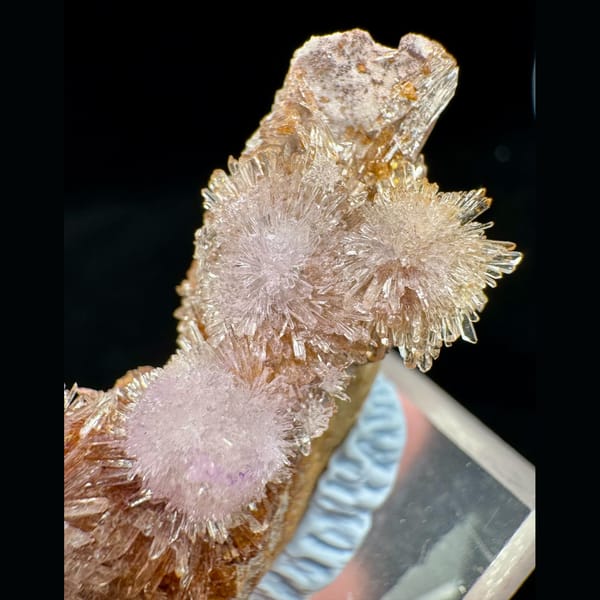 Pink-Purple Creedite Flower 5.0 cm — detail view