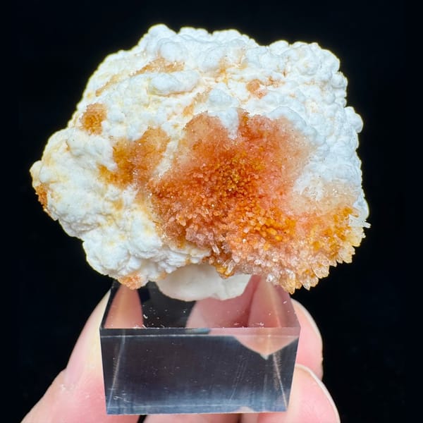 Popcorn Gypsum with Orange Spots Dali 7.0 cm — complete view
