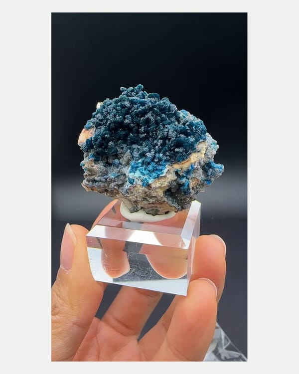 Complete front view of deep blue zincolibethenite cluster