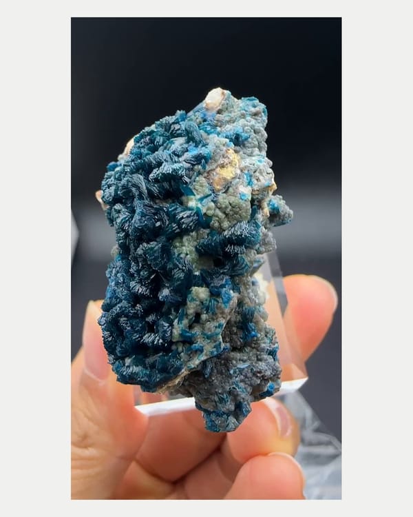 Complete reverse view of deep blue zincolibethenite cluster