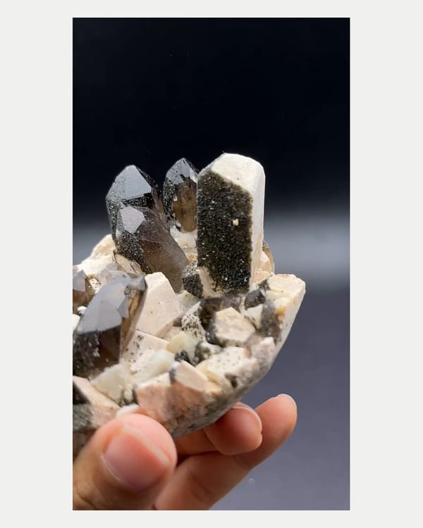 Complete left oblique view of tall smoky quartz point