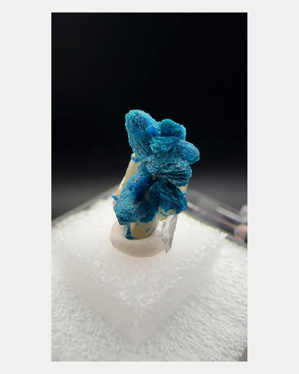 Complete front view of blue zincolibethenite with quartz
