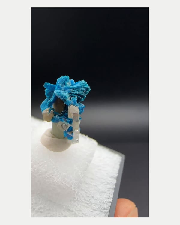 Complete reverse view of blue zincolibethenite with quartz