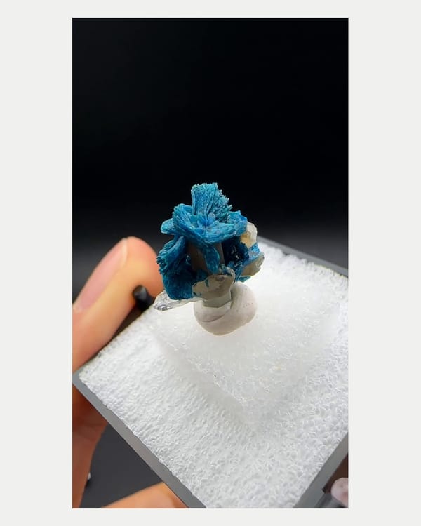 Complete right oblique view of blue zincolibethenite with quartz